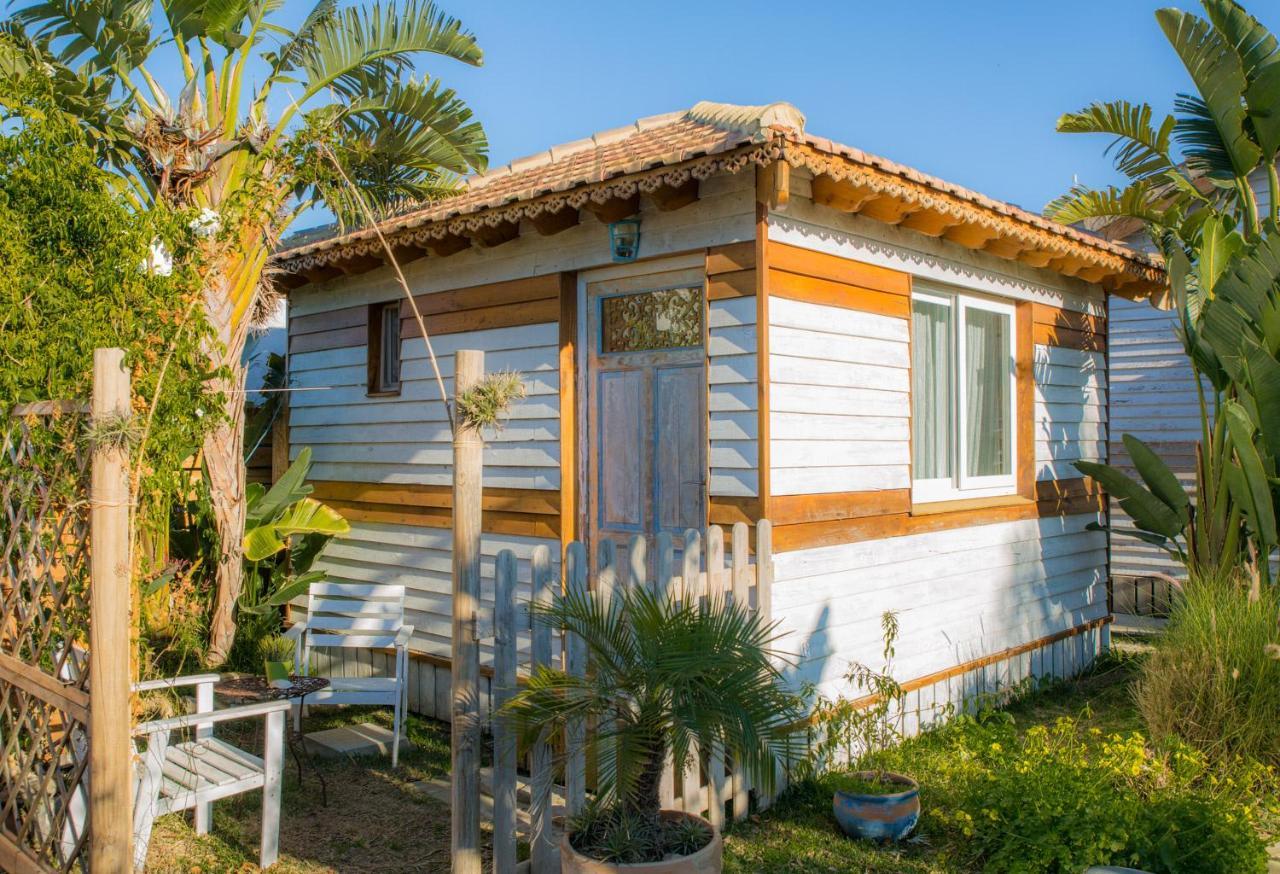 Cabana La Palmerita En Playa El Palmar エル・パルマル エクステリア 写真